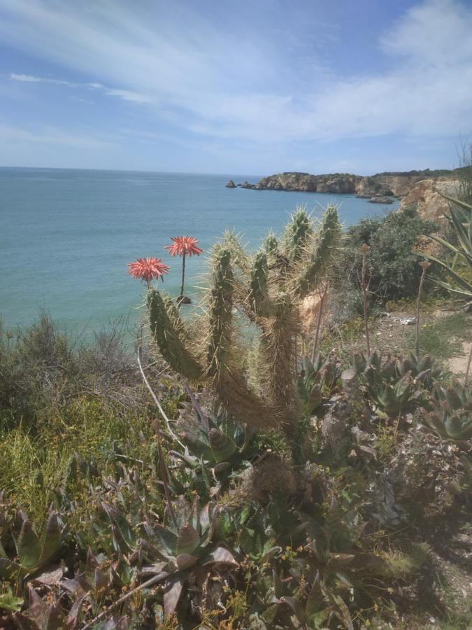 Cool Residence Portimao Ngoại thất bức ảnh